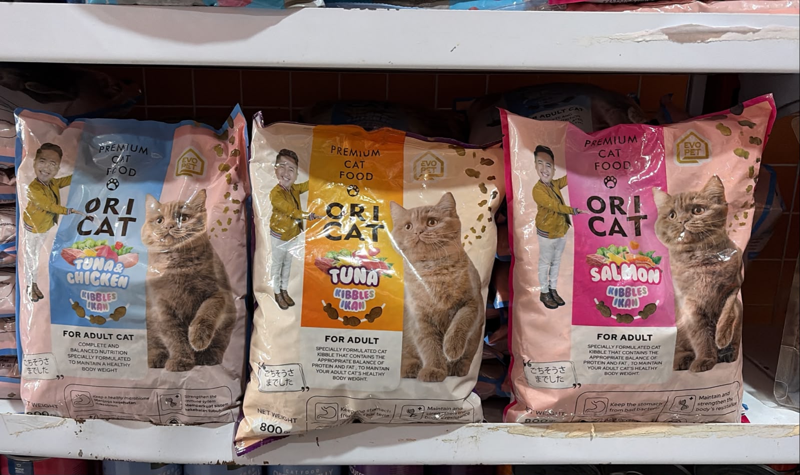 ori cat adult 800gr