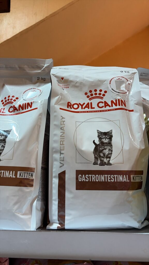 royalcanin gastro kitten 2kg