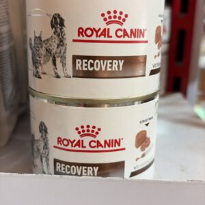 royalcanin wetfood recovery 195gr