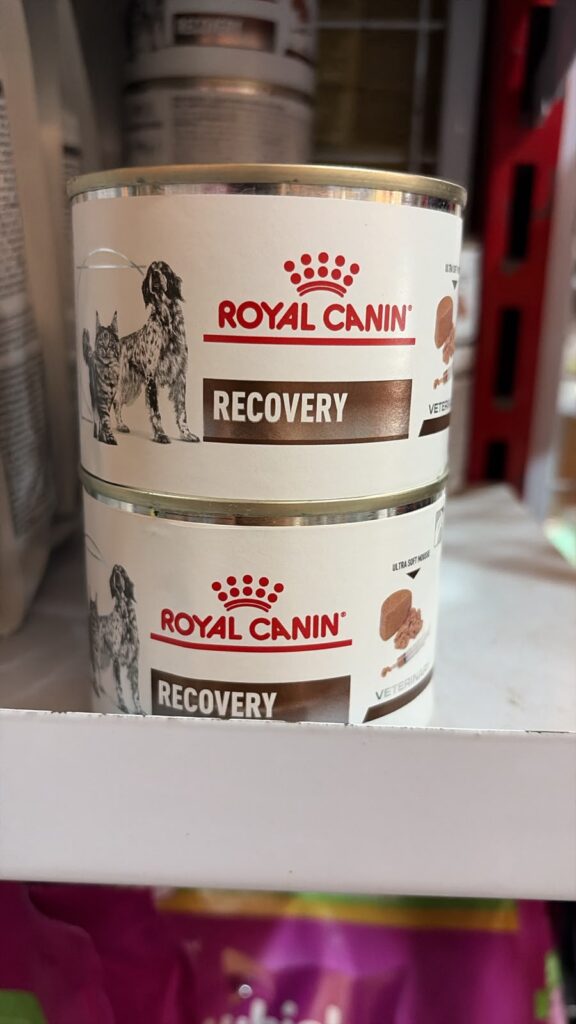 royalcanin wetfood recovery 195gr