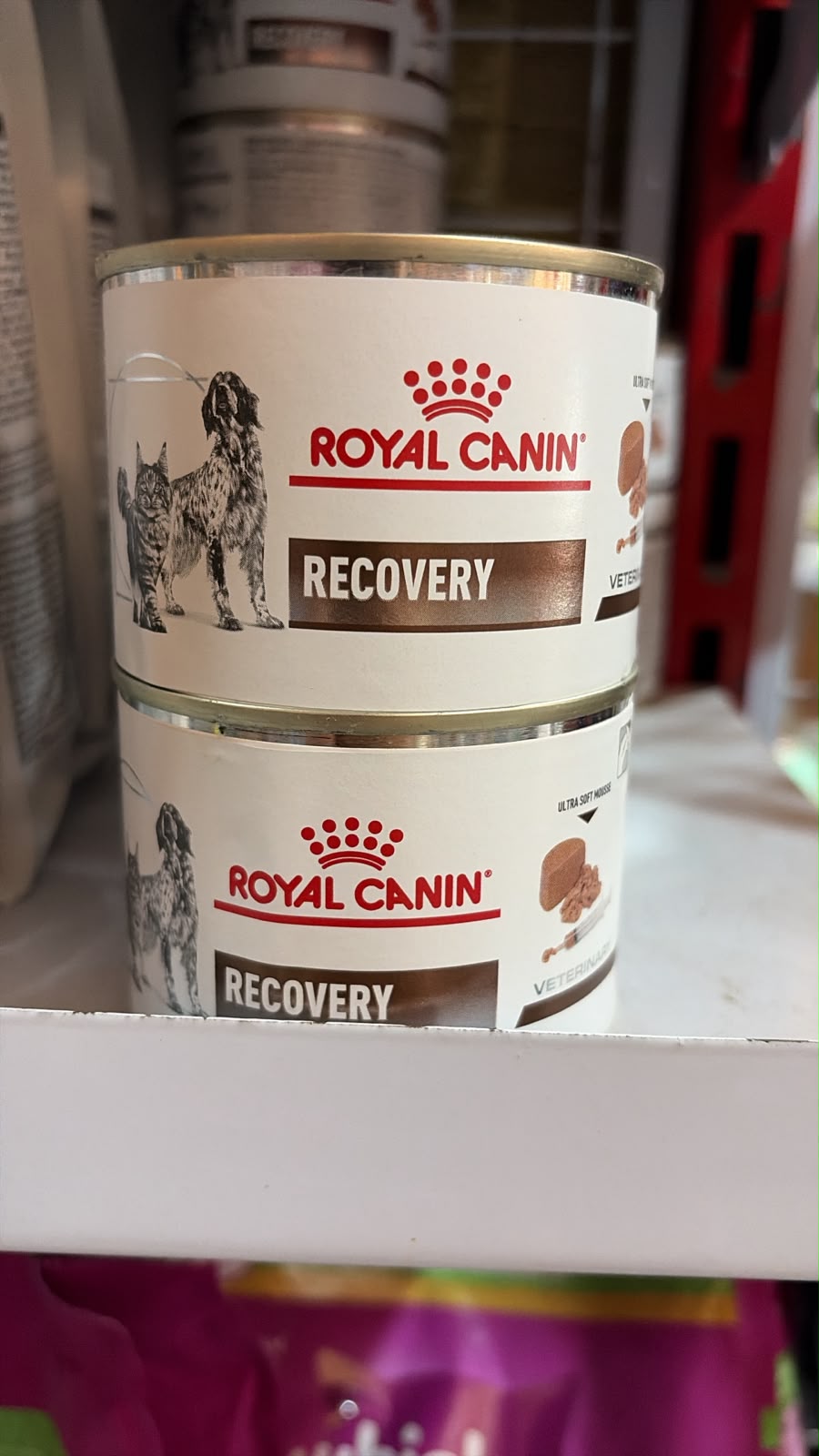 royalcanin wetfood recovery 195gr