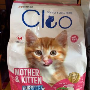 cleo mother kitten 1,1kg