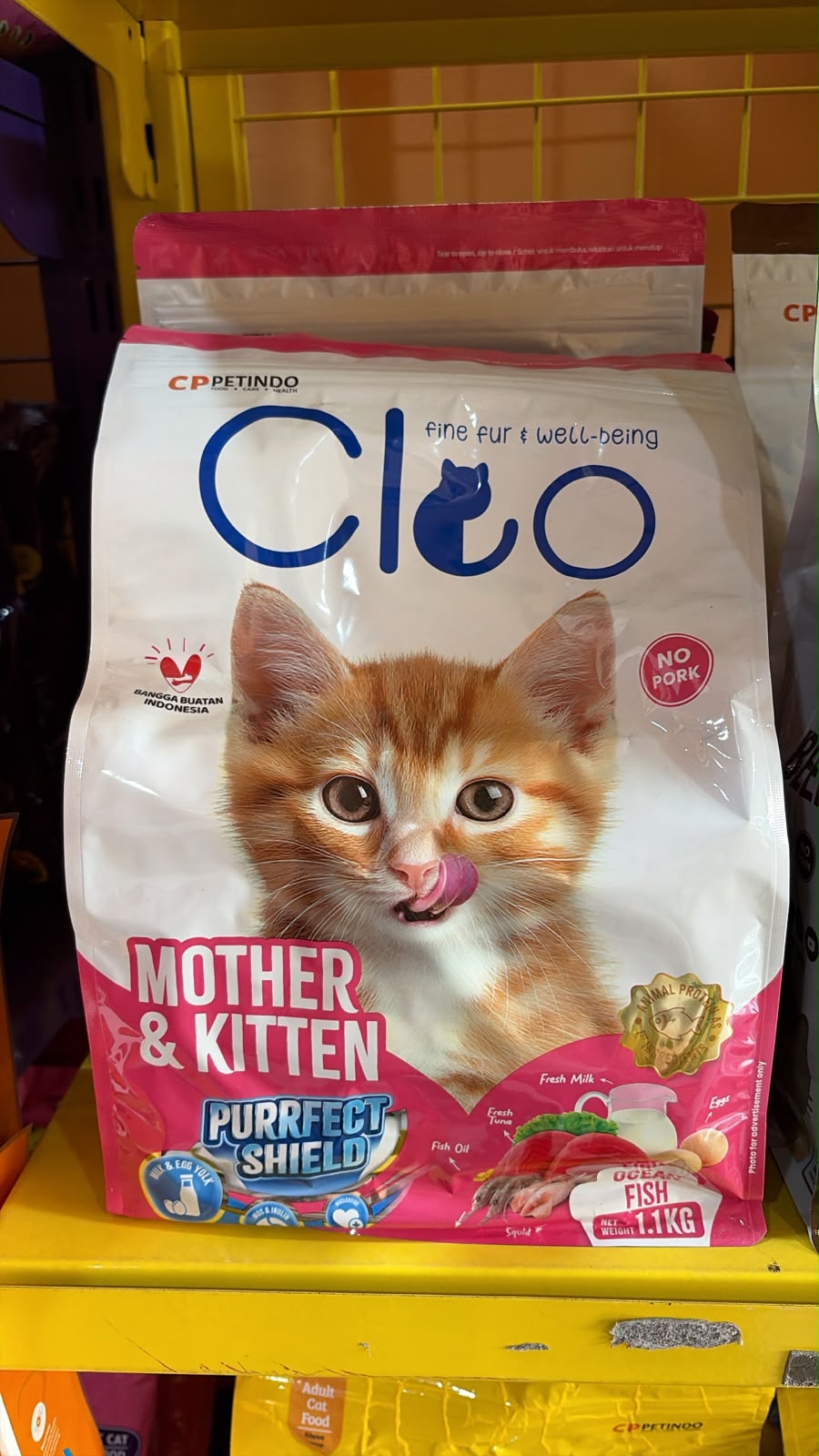 cleo mother kitten 1,1kg