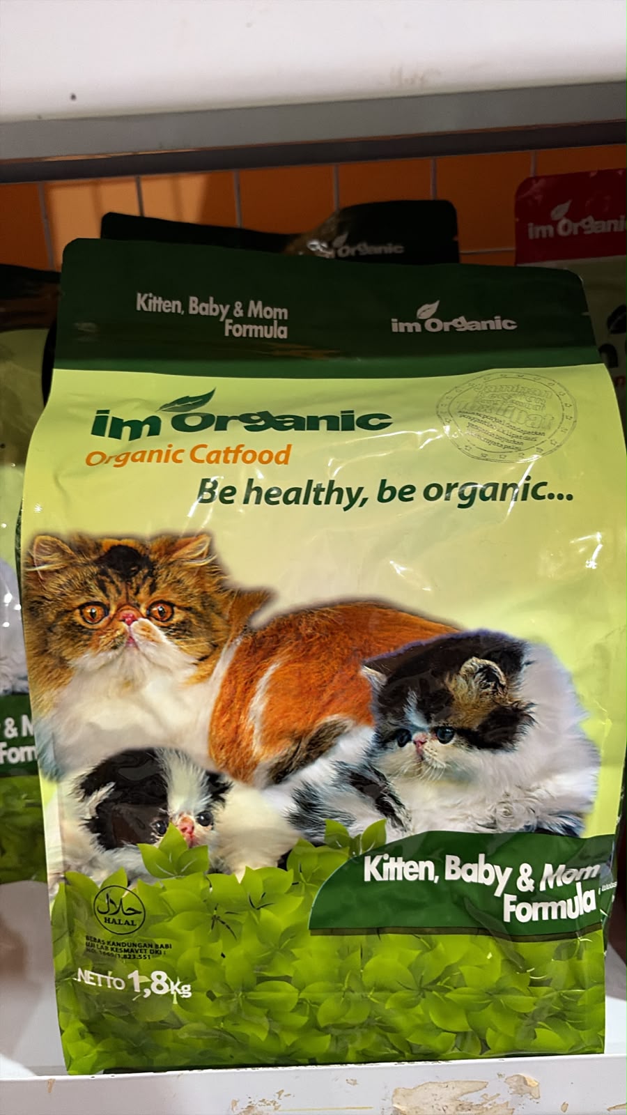 IMO kitten baby mother 1,8kg