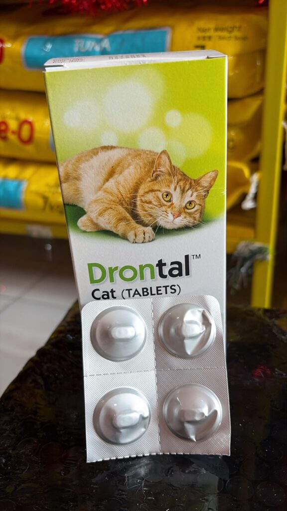 drontal cat (obat cacing)