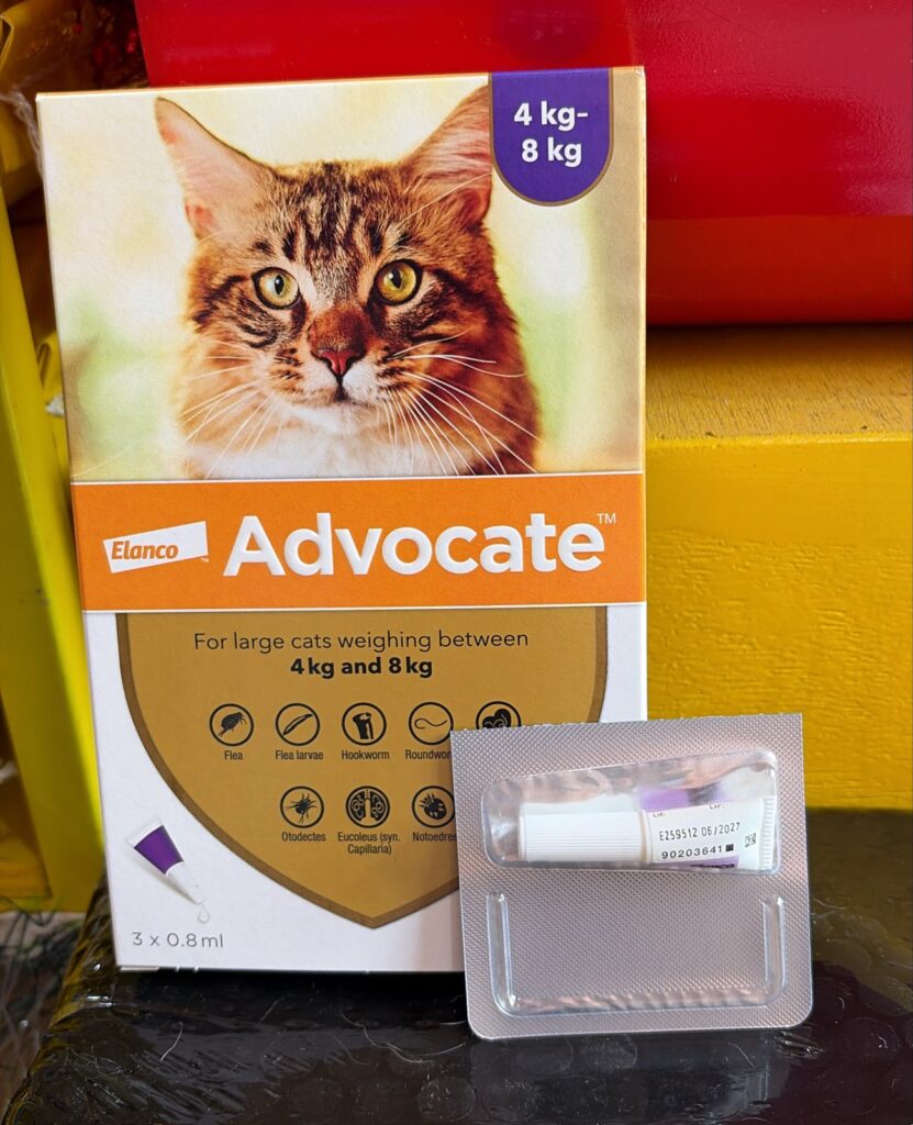 advocate 4-8kg (obat kutu)