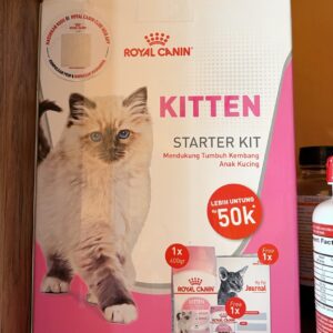 royalcanin kitten starter kit
