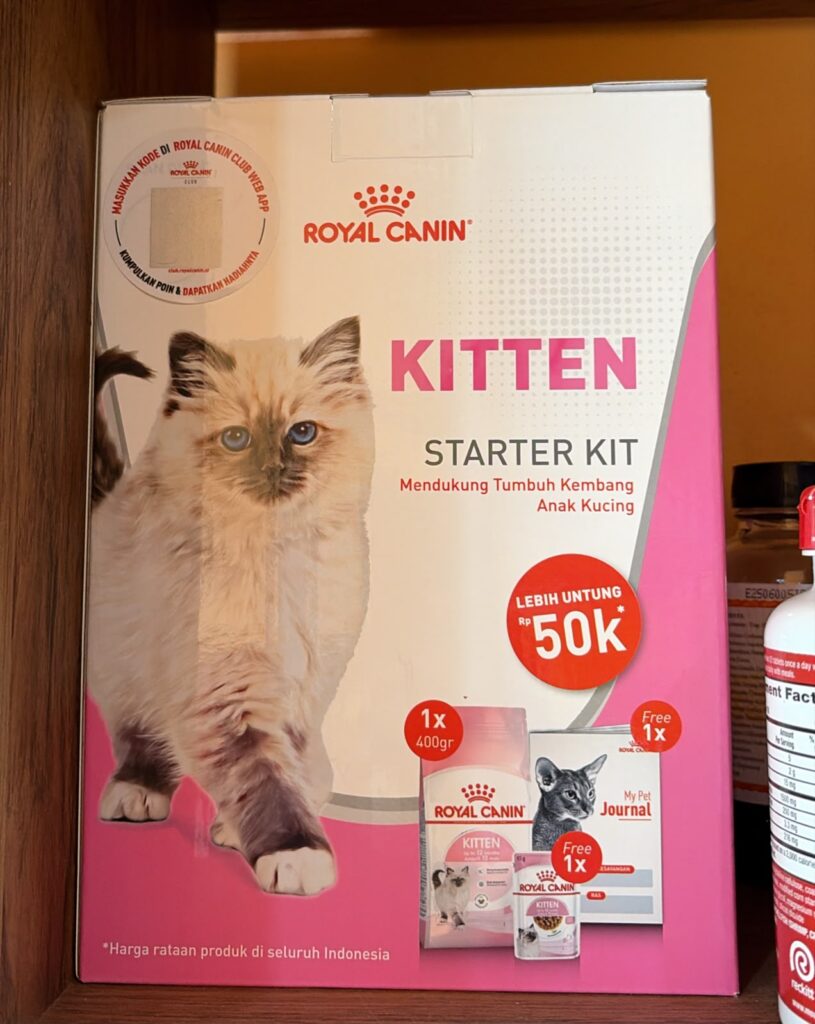 royalcanin kitten starter kit