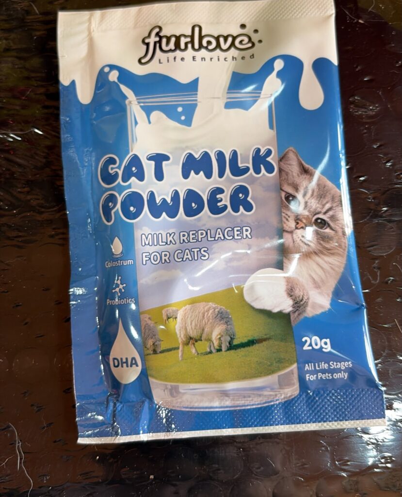 susu kucing furlove