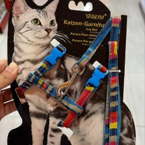 harnest kucing